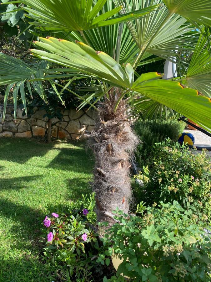 Villa Androcec Zgaljic Εξωτερικό φωτογραφία
